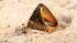 Olokun Enamel Tainted Royal Circle Ring (GOLD)
