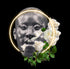 Iruwe / Blossom /
